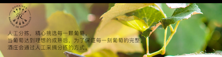 法國拉菲羅斯柴爾德特藏波爾多法定產區(qū)紅葡萄酒750ml