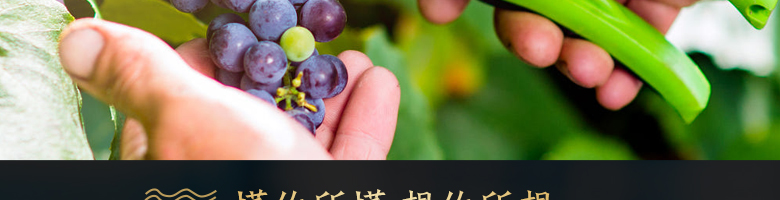 法國拉菲羅斯柴爾德特藏波爾多法定產區(qū)紅葡萄酒750ml