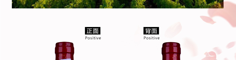 國拉菲羅斯柴爾德珍釀梅多克法定產(chǎn)區(qū)葡萄酒750ml